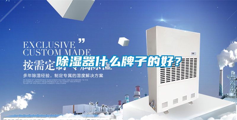 除濕器什么牌子的好？