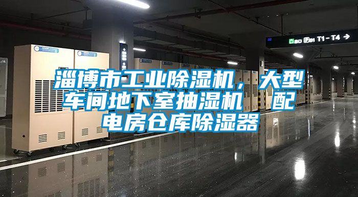 淄博市工業除濕機，大型車間地下室抽濕機  配電房倉庫除濕器