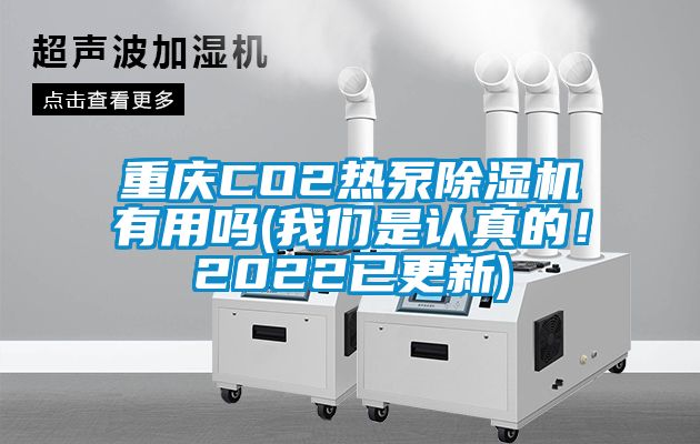 重慶CO2熱泵除濕機有用嗎(我們是認真的!2022已更新)