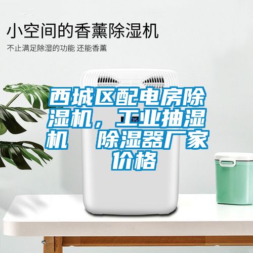 西城區(qū)配電房除濕機(jī),工業(yè)抽濕機(jī) 除濕器廠家 價(jià)格