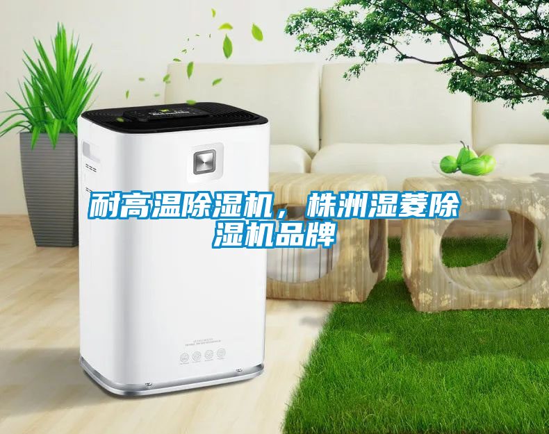 耐高溫除濕機，株洲濕菱除濕機品牌