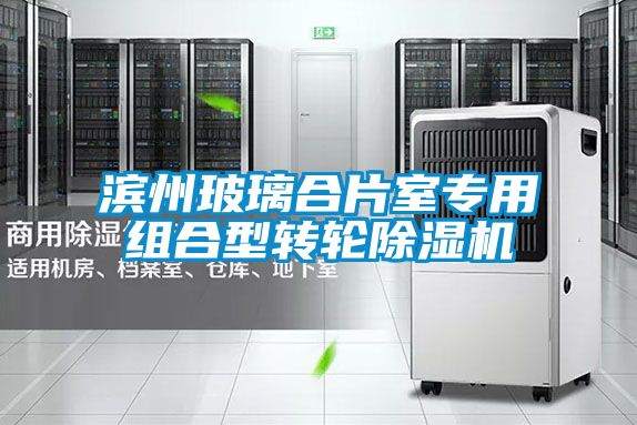 濱州玻璃合片室專用組合型轉(zhuǎn)輪除濕機