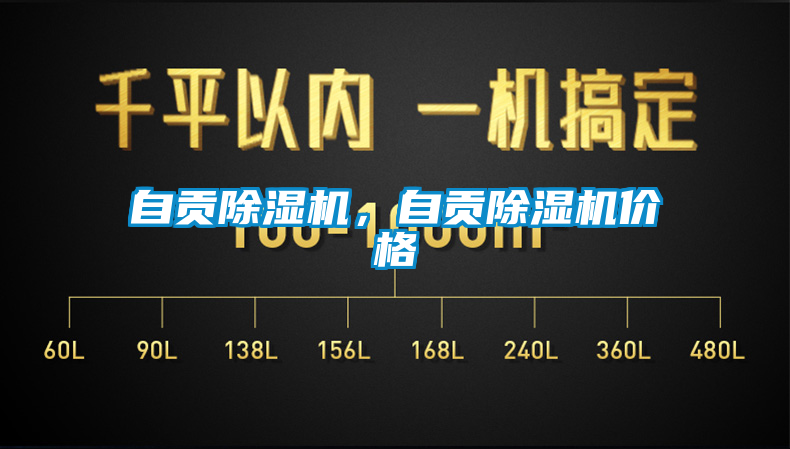 自貢除濕機(jī),自貢除濕機(jī)價(jià)格