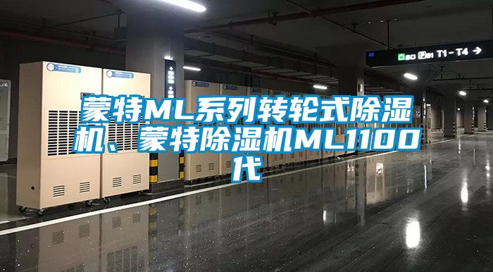 蒙特ML系列轉(zhuǎn)輪式除濕機(jī)、蒙特除濕機(jī)ML1100代