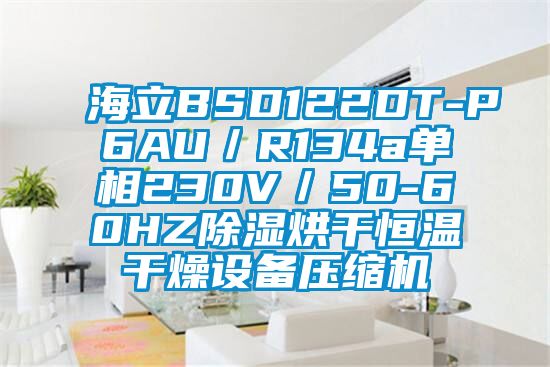 海立BSD122DT-P6AU/R134a單相230V/50-60HZ除濕烘干恒溫干燥設(shè)備壓縮機