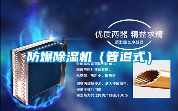 防爆除濕機(jī)(管道式)