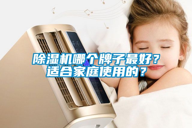 除濕機(jī)哪個(gè)牌子最好?適合家庭使用的?