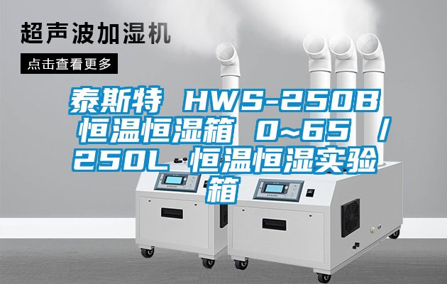 泰斯特 HWS-250B 恒溫恒濕箱 0~65℃/250L 恒溫恒濕實(shí)驗(yàn)箱