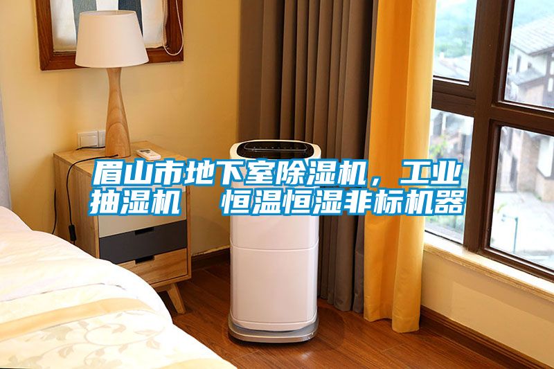 眉山市地下室除濕機，工業(yè)抽濕機  恒溫恒濕非標機器