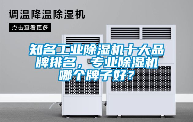 知名工業除濕機十大品牌排名，專業除濕機哪個牌子好？