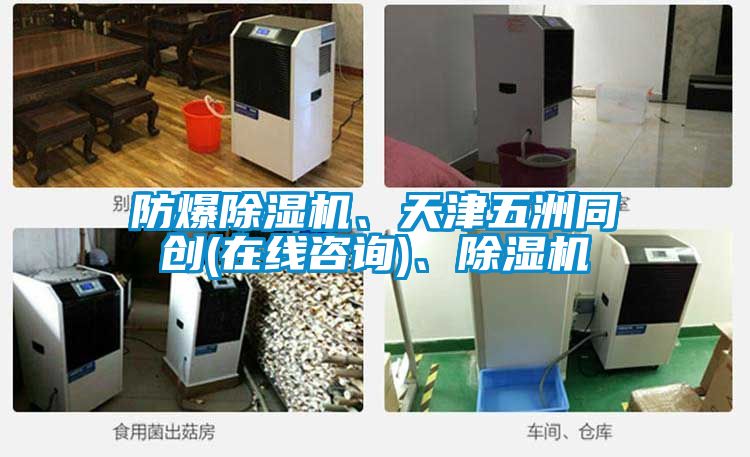 防爆除濕機、天津五洲同創(在線咨詢)、除濕機