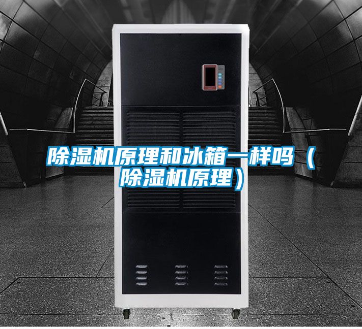 除濕機原理和冰箱一樣嗎(除濕機原理)
