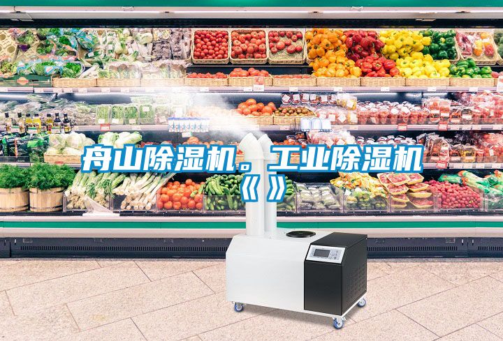 舟山除濕機。工業(yè)除濕機《》