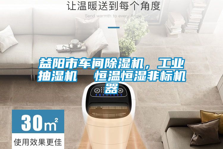 益陽市車間除濕機(jī)，工業(yè)抽濕機(jī)  恒溫恒濕非標(biāo)機(jī)器