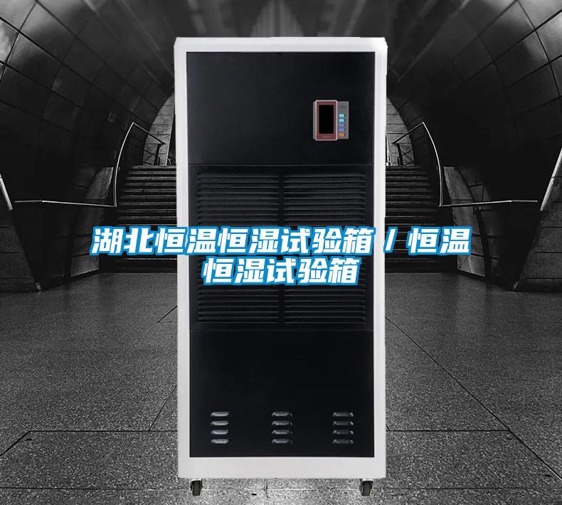 湖北恒溫恒濕試驗箱/恒溫恒濕試驗箱