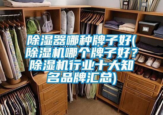 除濕器哪種牌子好(除濕機哪個牌子好？除濕機行業(yè)十大知名品牌匯總)