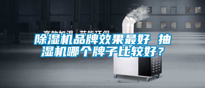 除濕機品牌效果最好 抽濕機哪個牌子比較好?