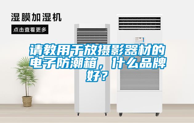 請教用于放攝影器材的電子防潮箱,什么品牌好?