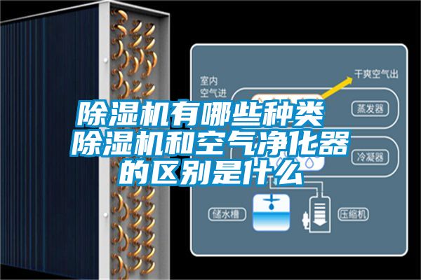 除濕機有哪些種類 除濕機和空氣凈化器的區別是什么