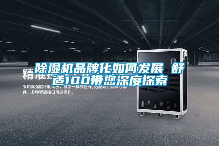 除濕機品牌化如何發展 舒適100帶您深度探索