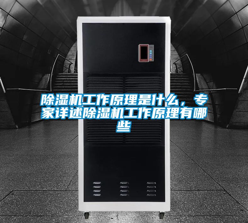 除濕機工作原理是什么,專家詳述除濕機工作原理有哪些