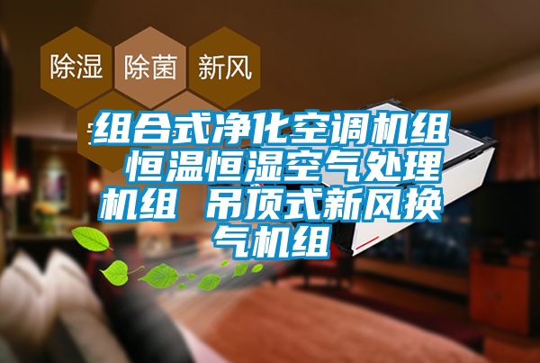 組合式凈化空調(diào)機組 恒溫恒濕空氣處理機組 吊頂式新風換氣機組