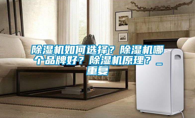 除濕機(jī)如何選擇？除濕機(jī)哪個(gè)品牌好？除濕機(jī)原理？_重復(fù)