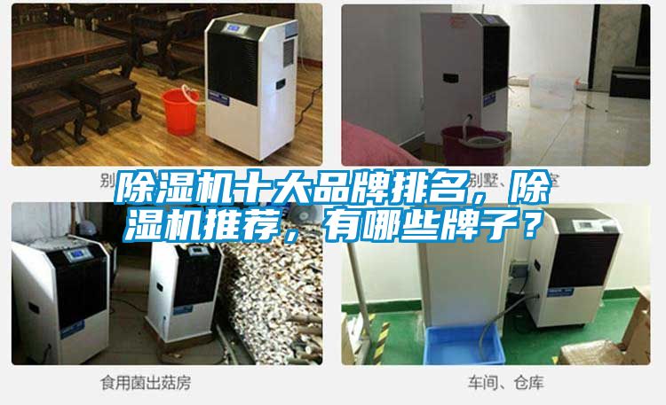 除濕機十大品牌排名,除濕機推薦,有哪些牌子?