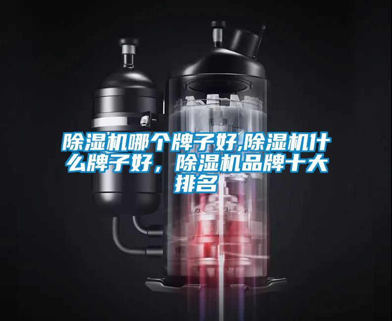 除濕機哪個牌子好,除濕機什么牌子好,除濕機品牌十大排名