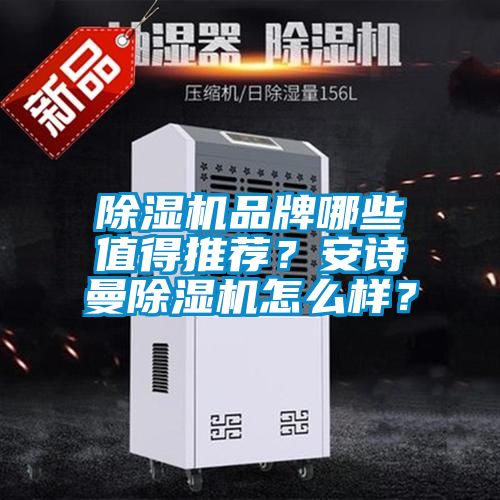 除濕機品牌哪些值得推薦?安詩曼除濕機怎么樣?