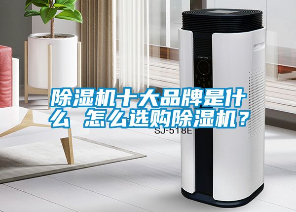 除濕機十大品牌是什么 怎么選購除濕機？