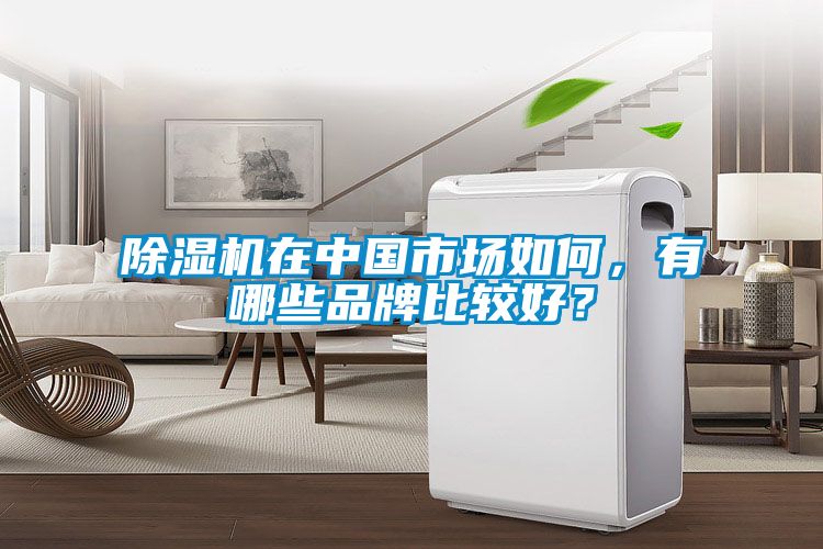除濕機在中國市場如何，有哪些品牌比較好？