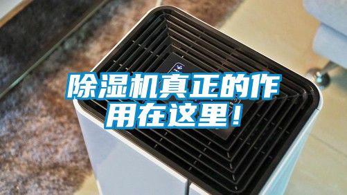 除濕機真正的作用在這里!