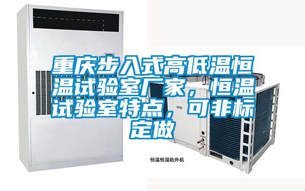 重慶步入式高低溫恒溫試驗室廠家，恒溫試驗室特點，可非標(biāo)定做