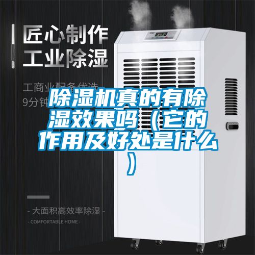 除濕機真的有除濕效果嗎(它的作用及好處是什么)