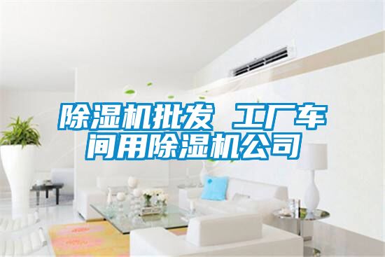 除濕機(jī)批發(fā) 工廠(chǎng)車(chē)間用除濕機(jī)公司