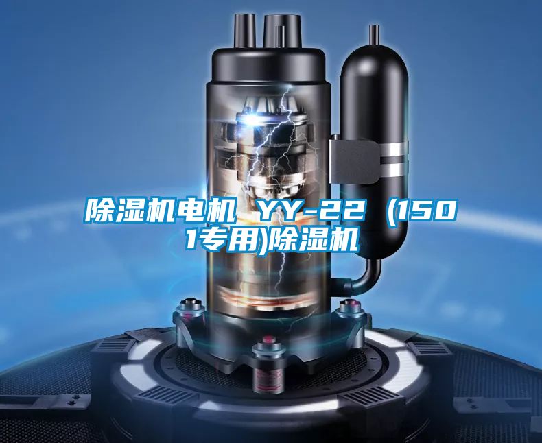 除濕機(jī)電機(jī) YY-22 (1501專(zhuān)用)除濕機(jī)