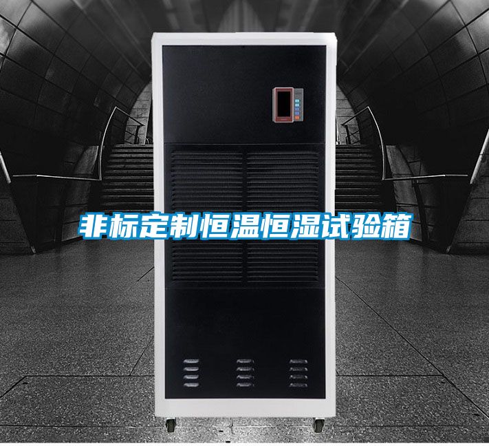 非標(biāo)定制恒溫恒濕試驗(yàn)箱