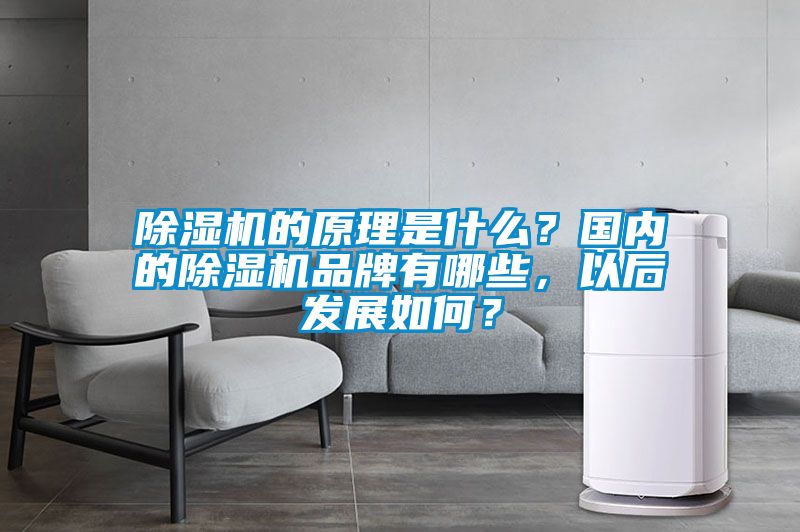 除濕機(jī)的原理是什么？國(guó)內(nèi)的除濕機(jī)品牌有哪些，以后發(fā)展如何？