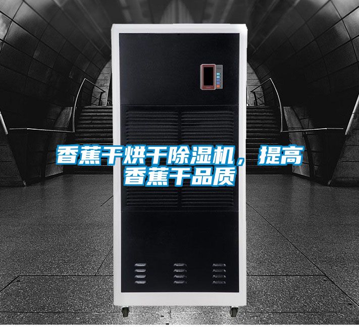 香蕉干烘干除濕機(jī),提高香蕉干品質(zhì)