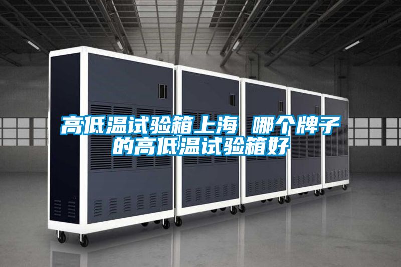 高低溫試驗(yàn)箱上海 哪個牌子的高低溫試驗(yàn)箱好