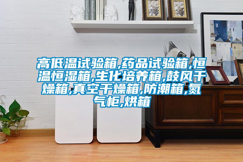 高低溫試驗箱,藥品試驗箱,恒溫恒濕箱,生化培養(yǎng)箱,鼓風(fēng)干燥箱,真空干燥箱,防潮箱,氮氣柜,烘箱