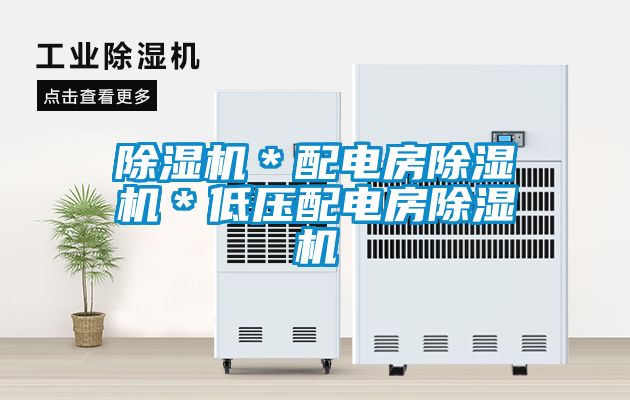 除濕機*配電房除濕機*低壓配電房除濕機